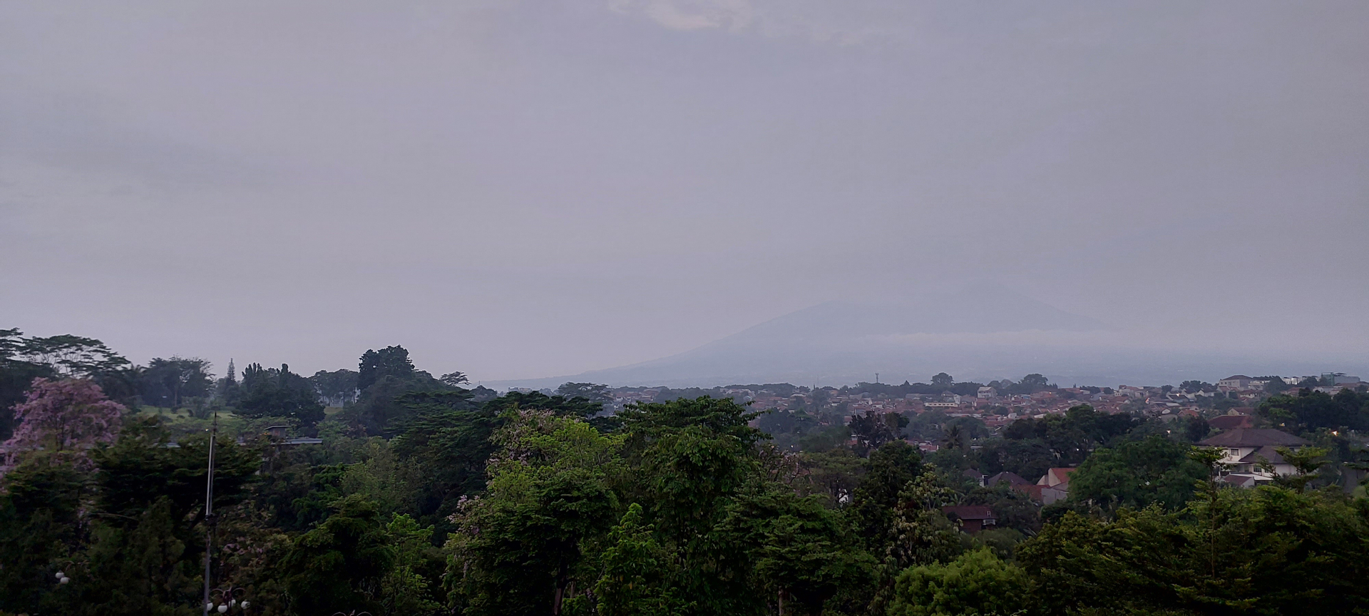 userImage-7