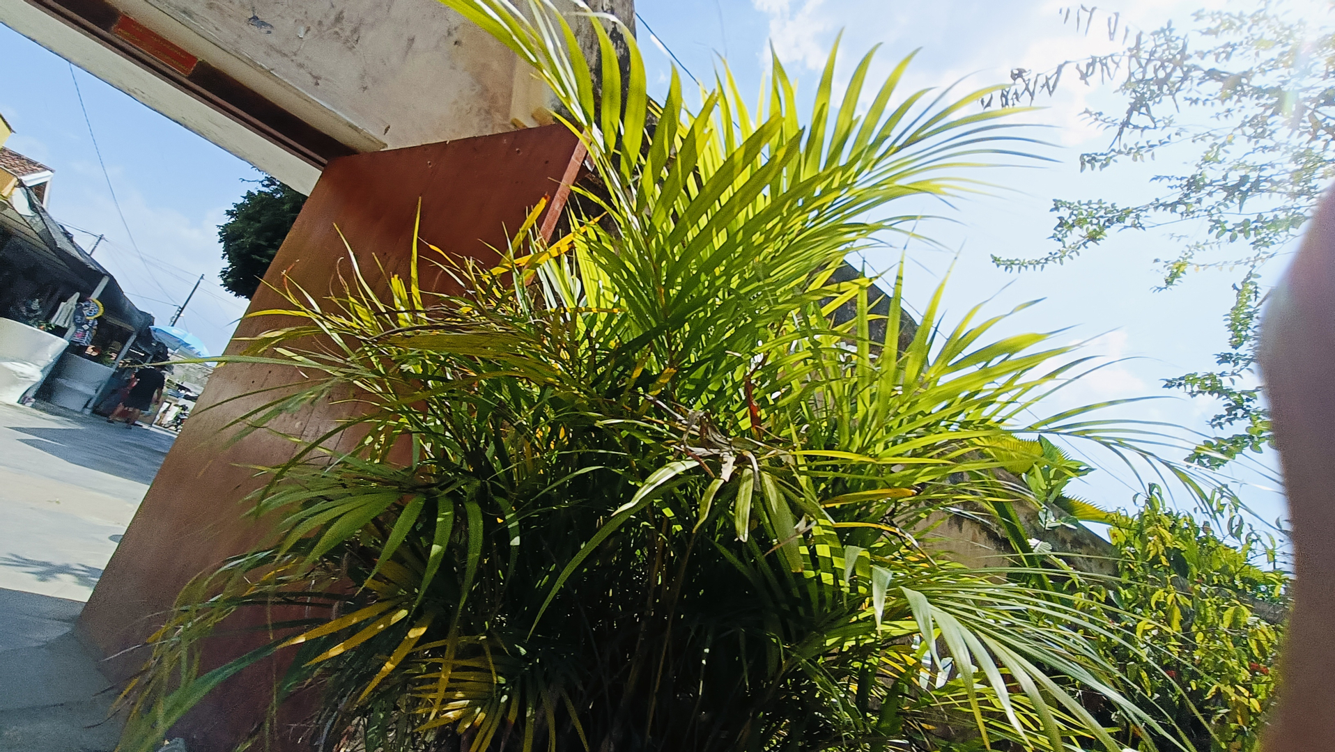 userImage-14
