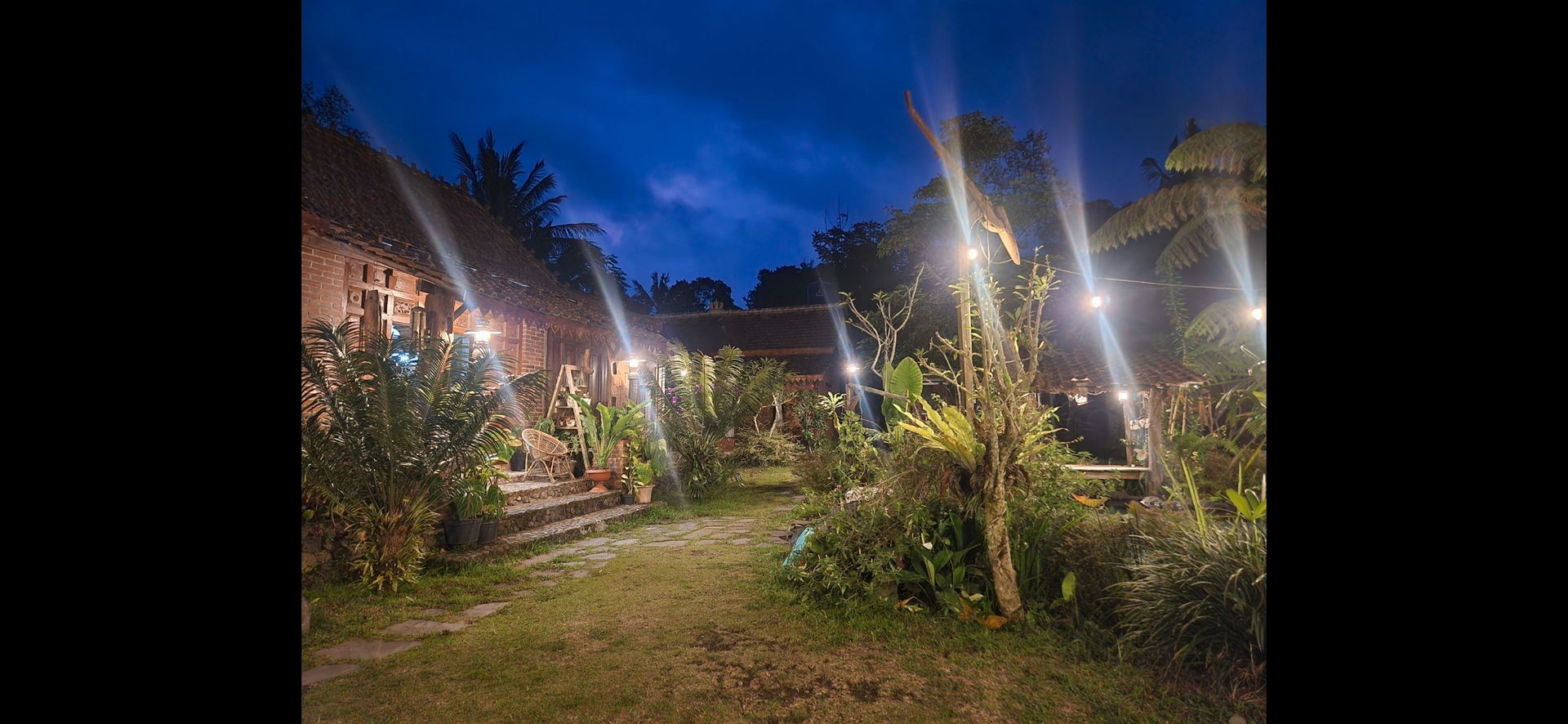 userImage-2