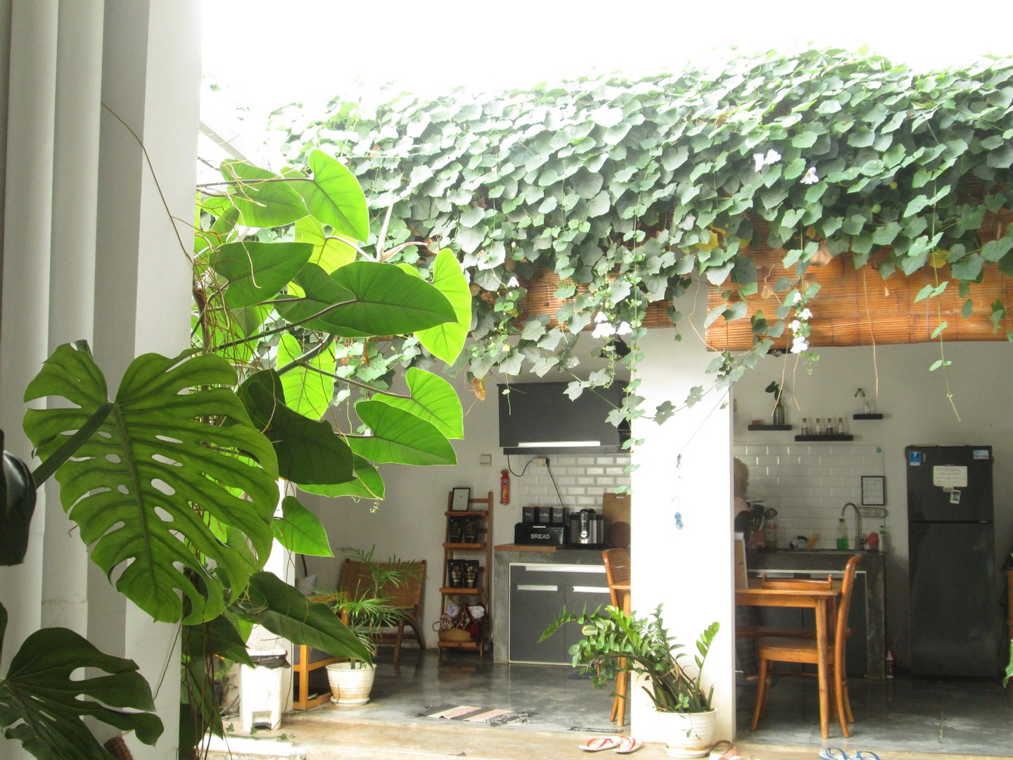 userImage-11