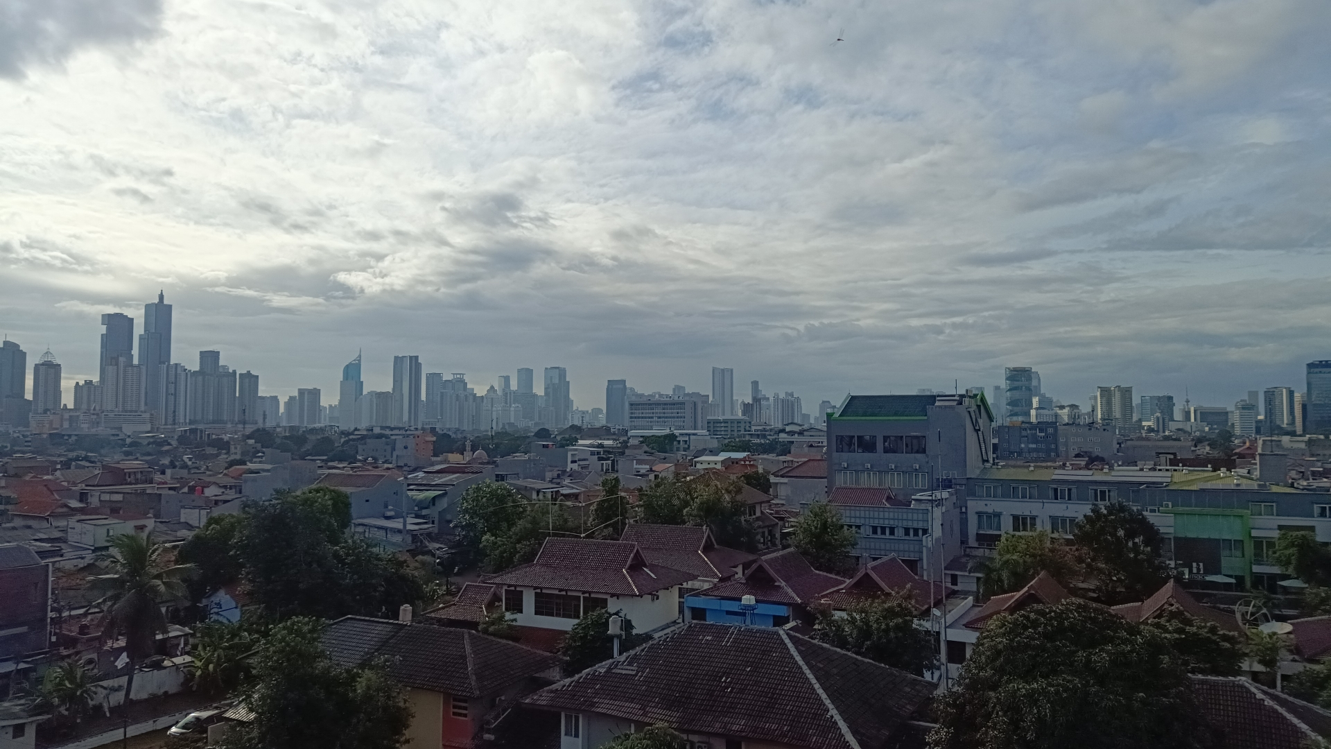 userImage-1