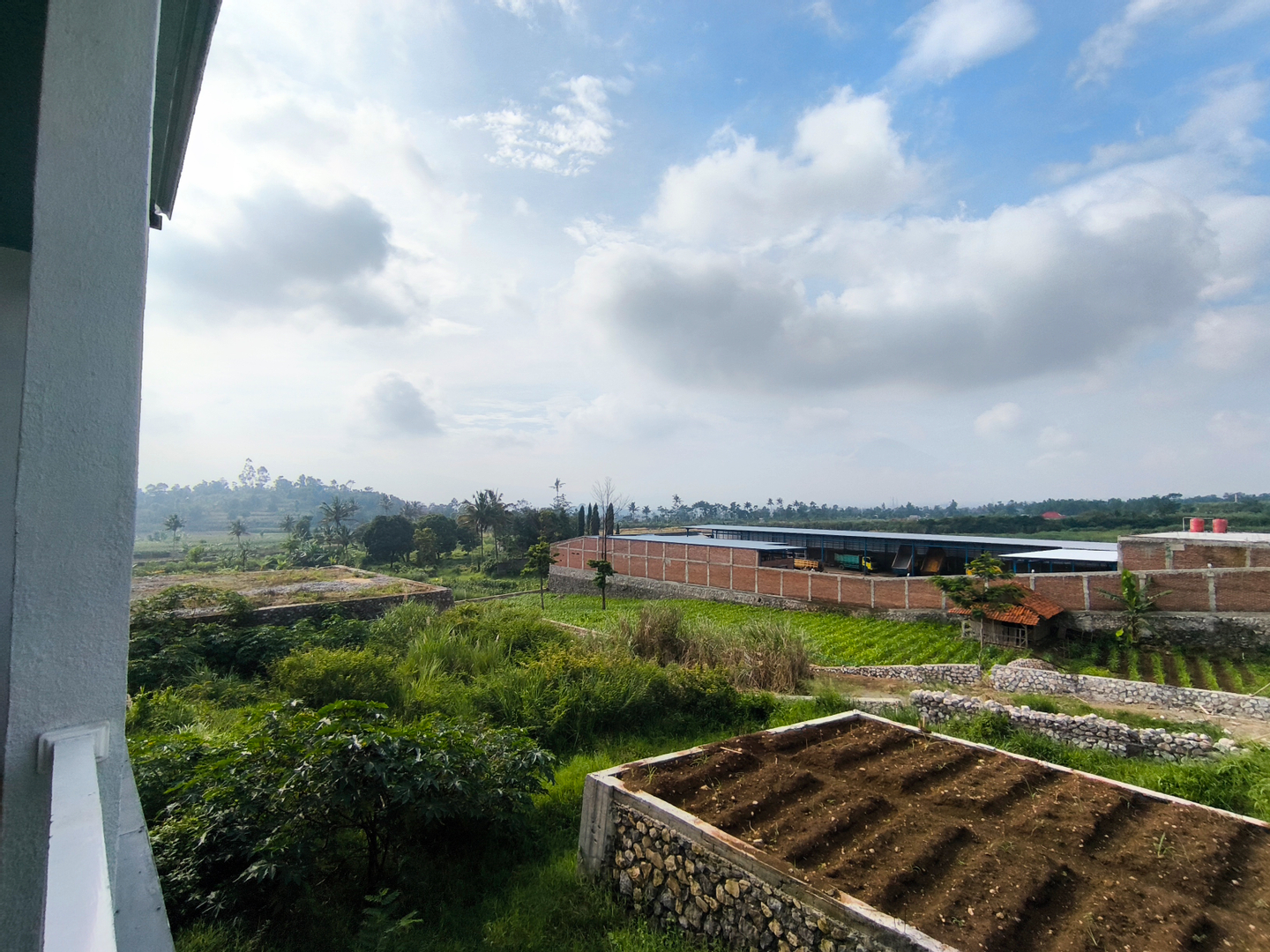 userImage-1