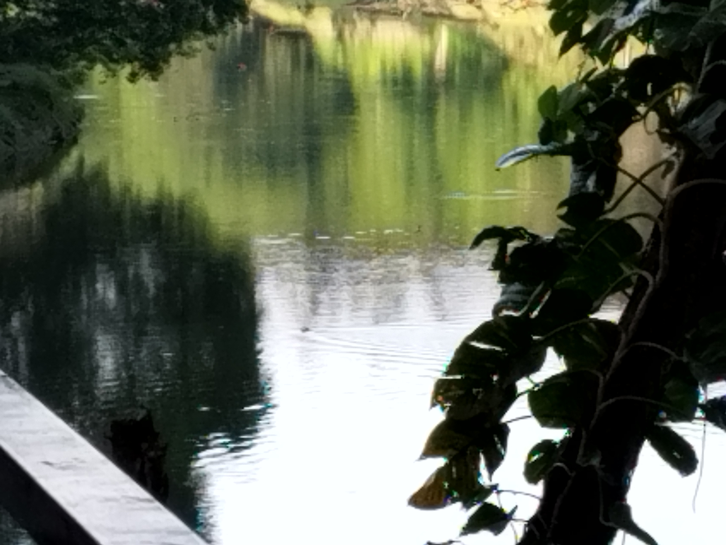 userImage-6