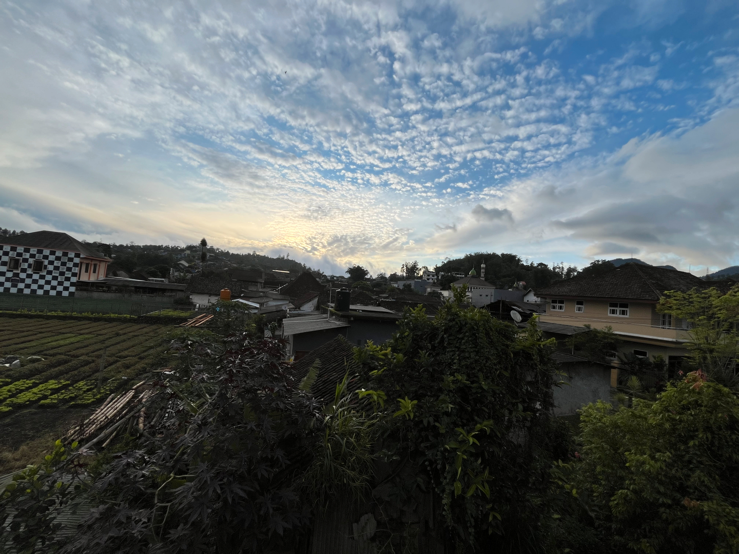 userImage-3