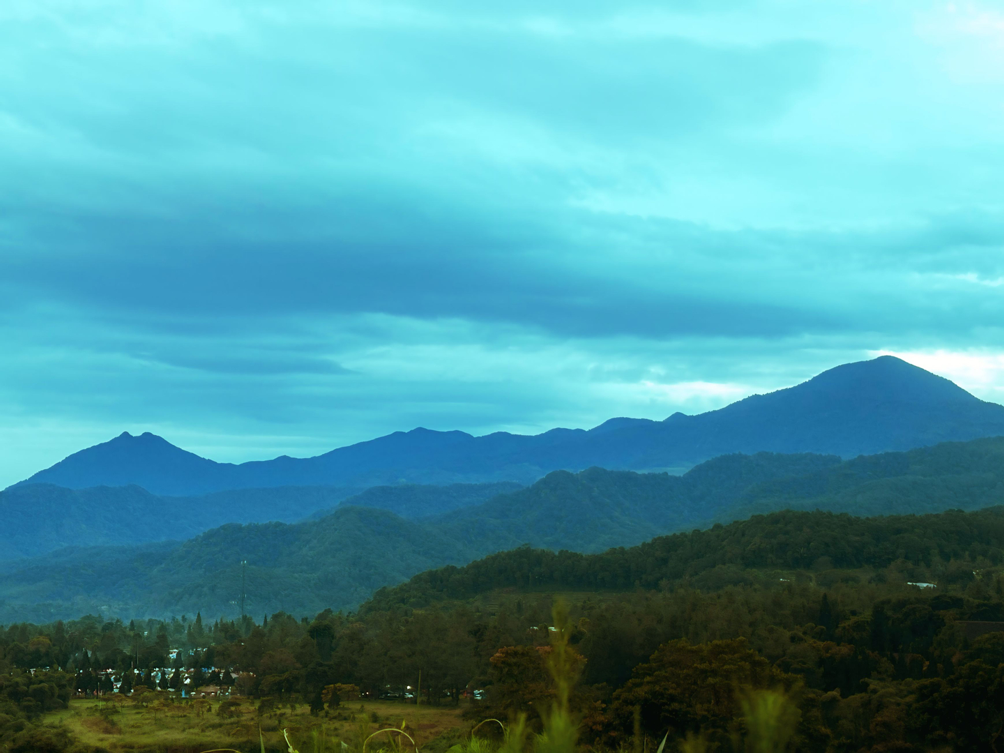 userImage-4