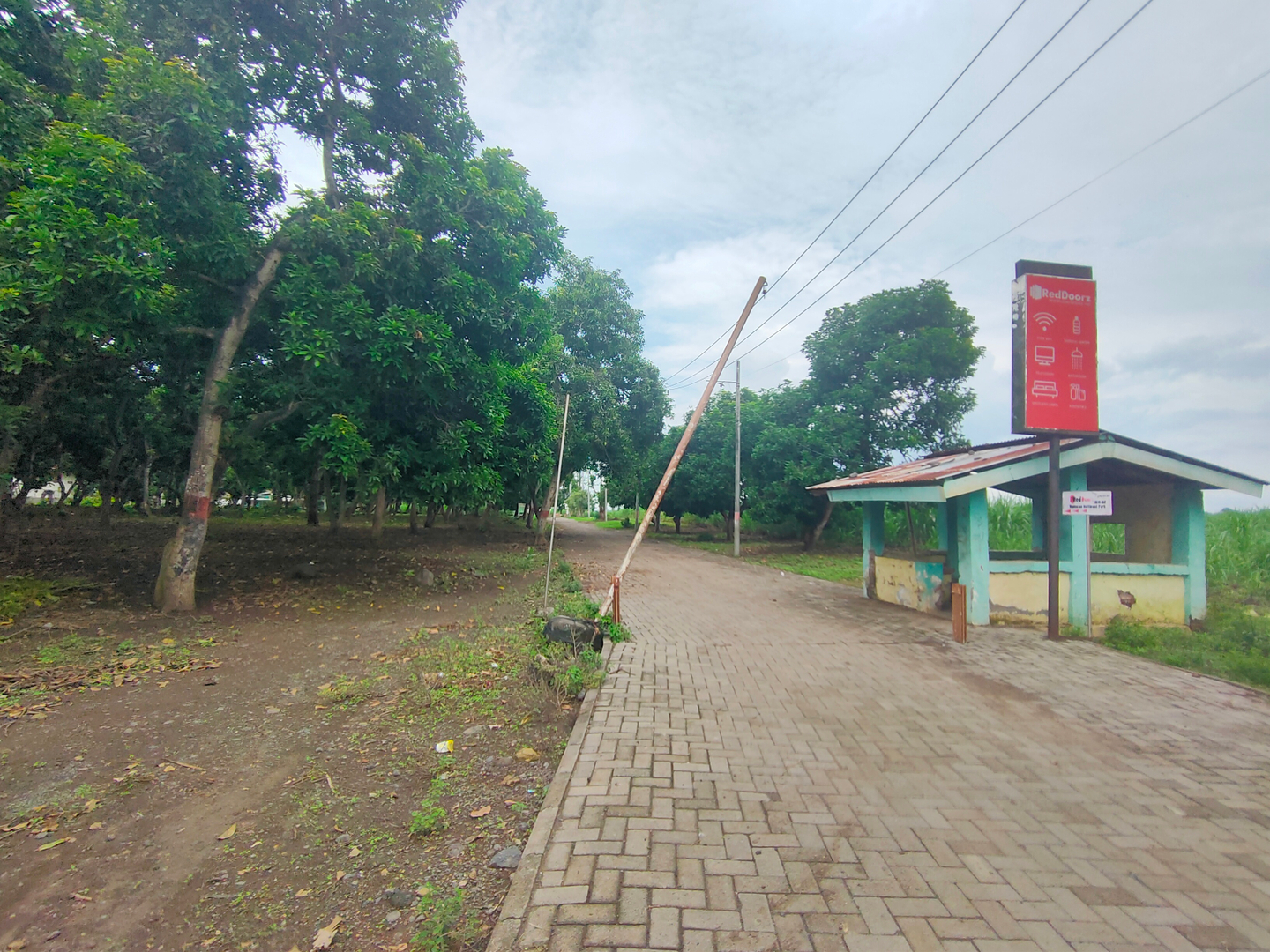 userImage-17