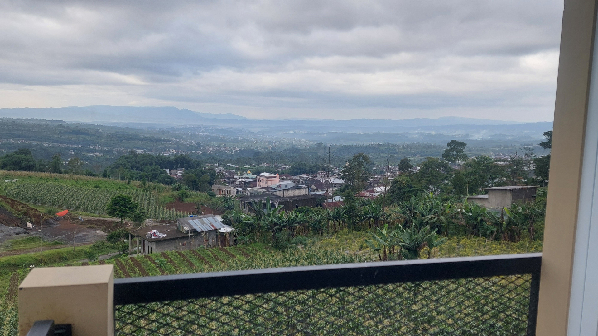 userImage-1