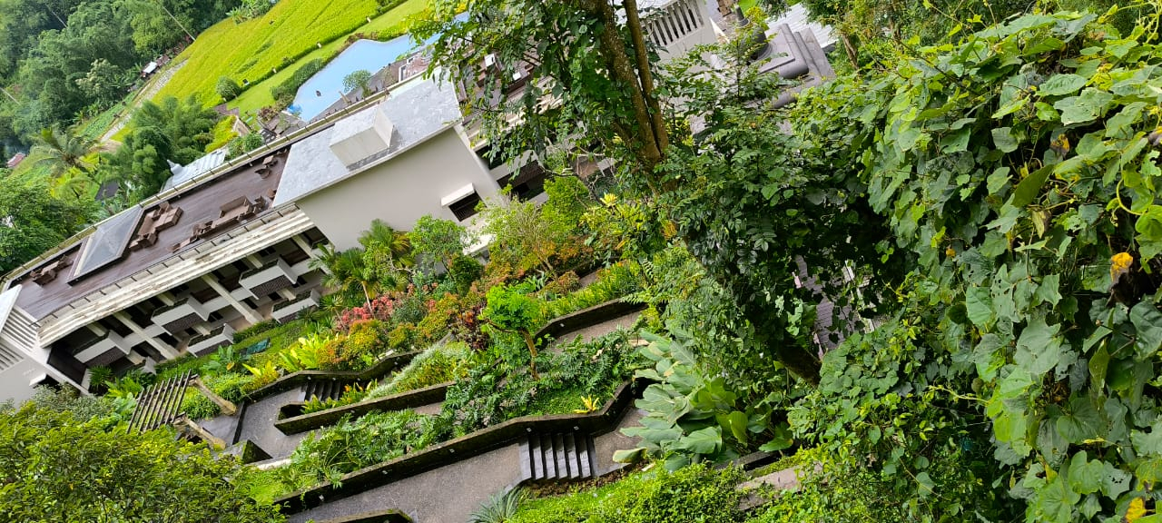 userImage-13