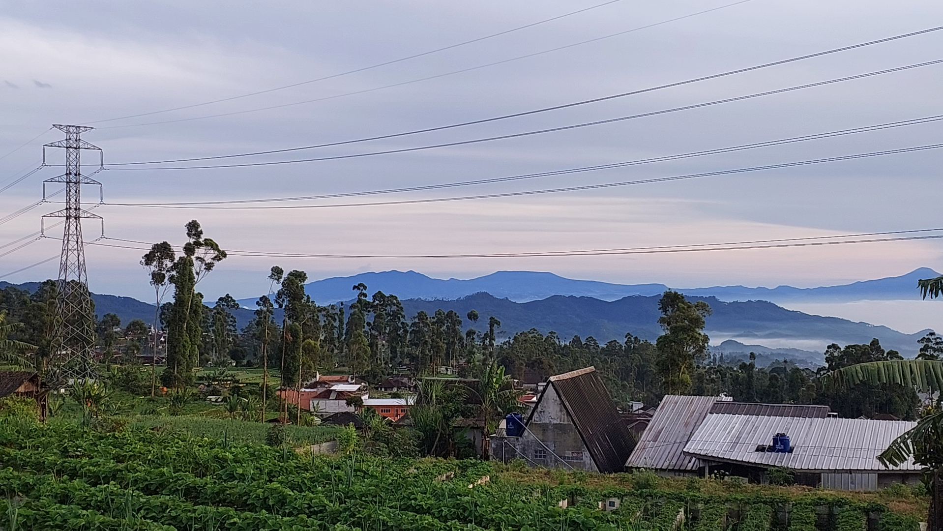 userImage-8