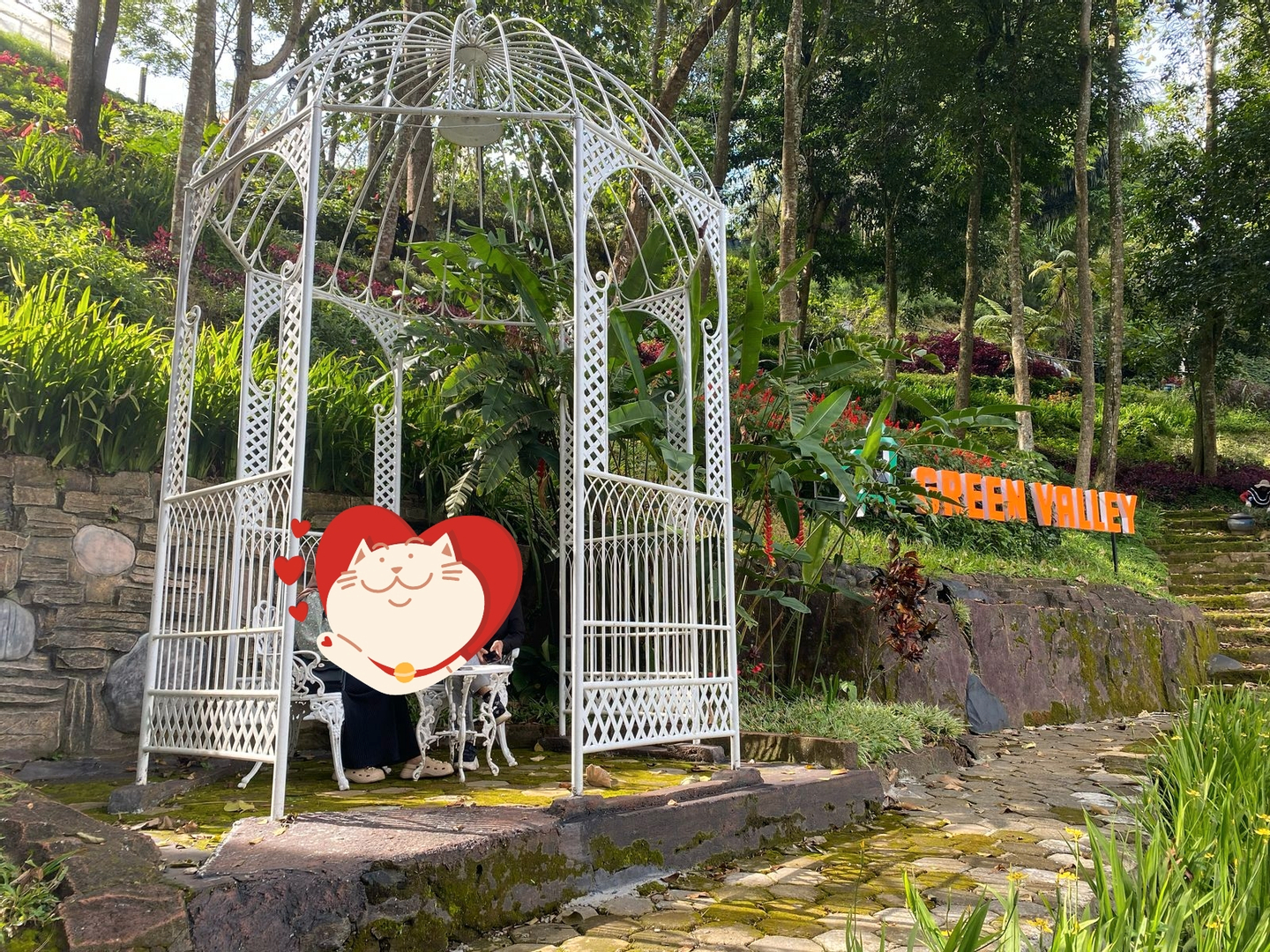 userImage-2