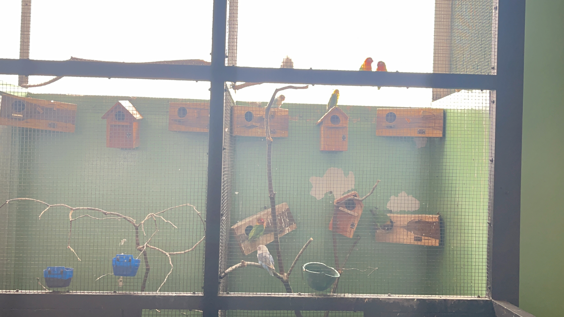 userImage-12