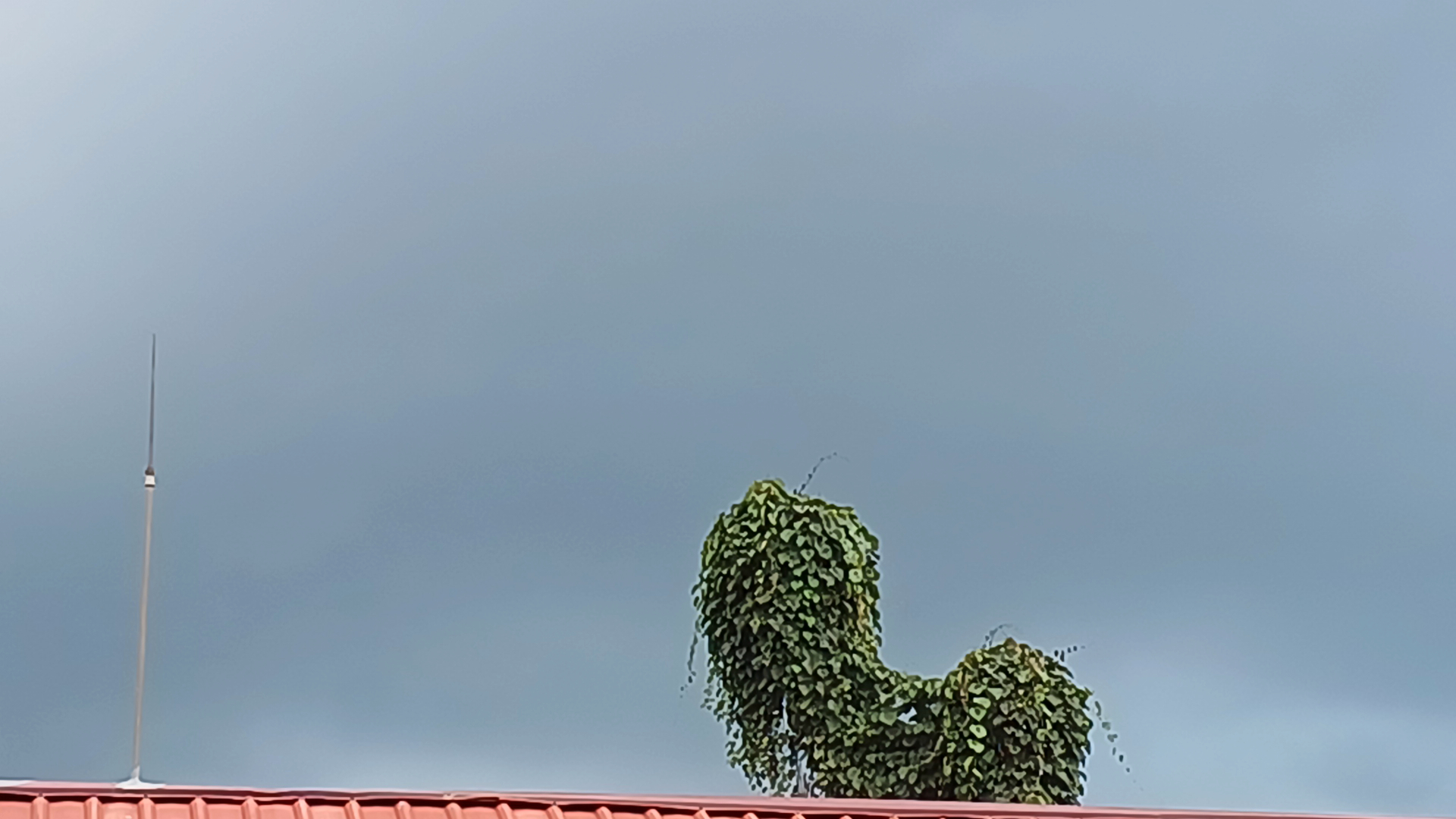 userImage-2