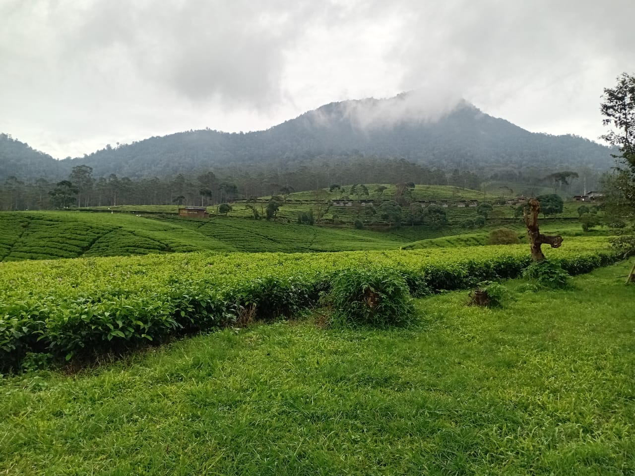 userImage-11