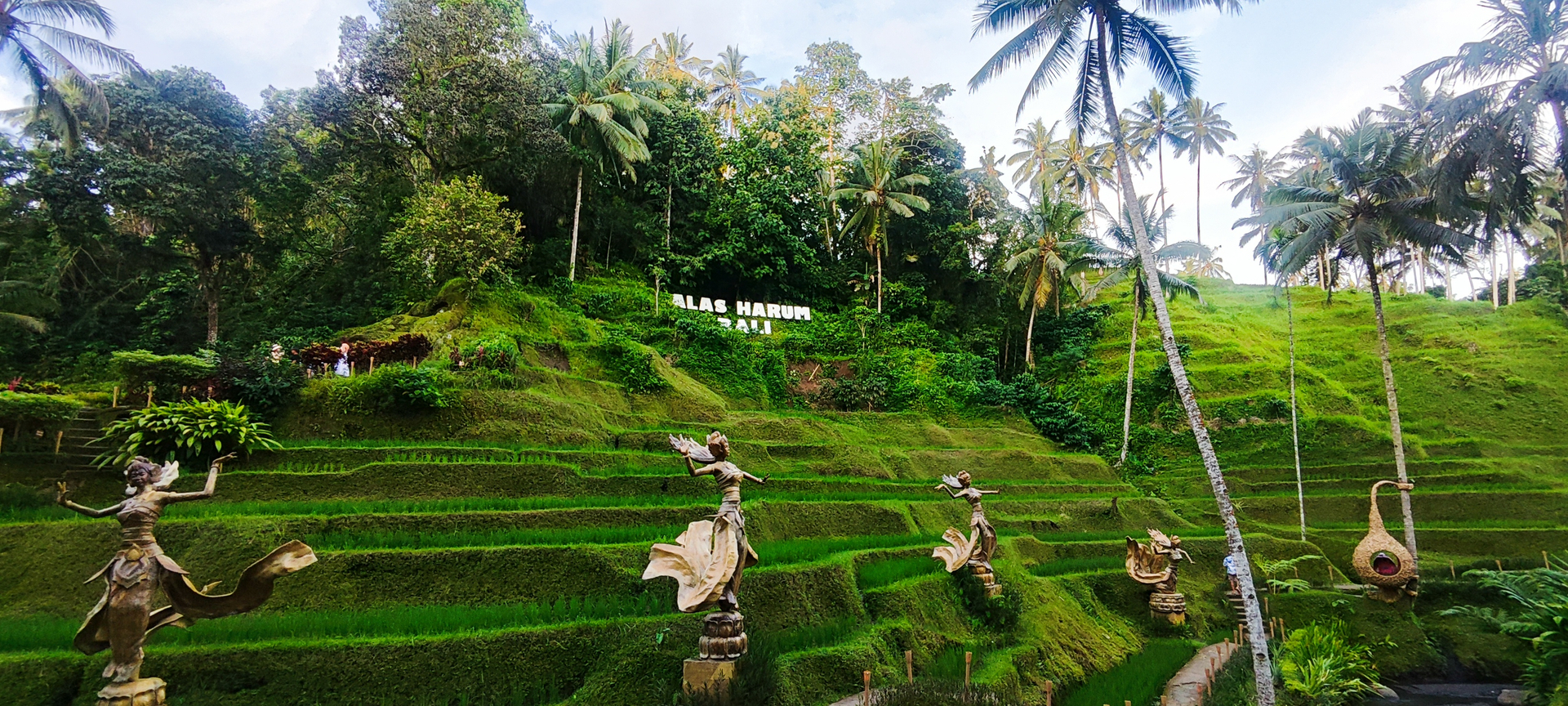 userImage-3