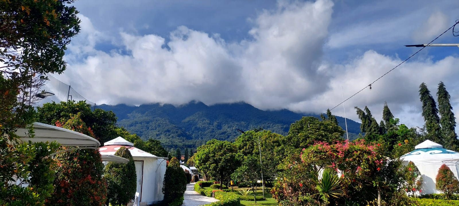 userImage-4