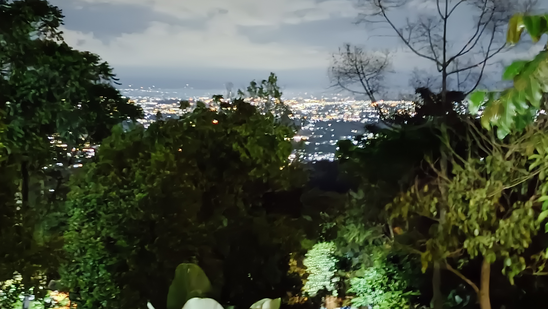 userImage-1