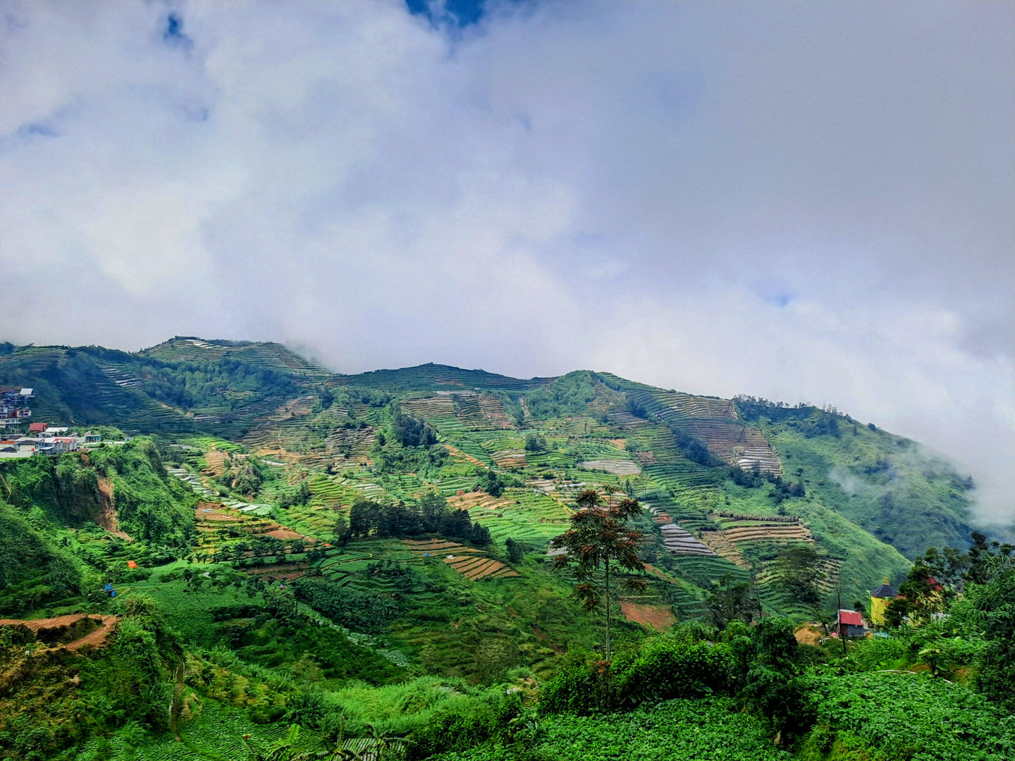userImage-13