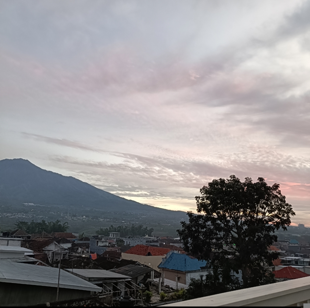 userImage-3