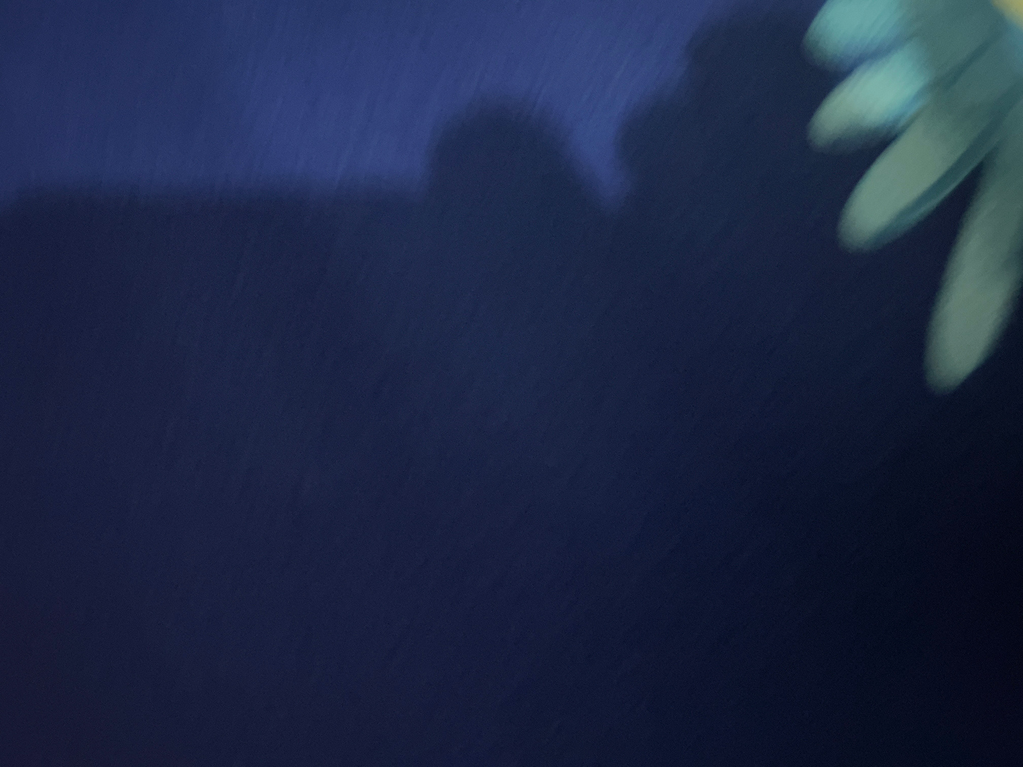 userImage-4