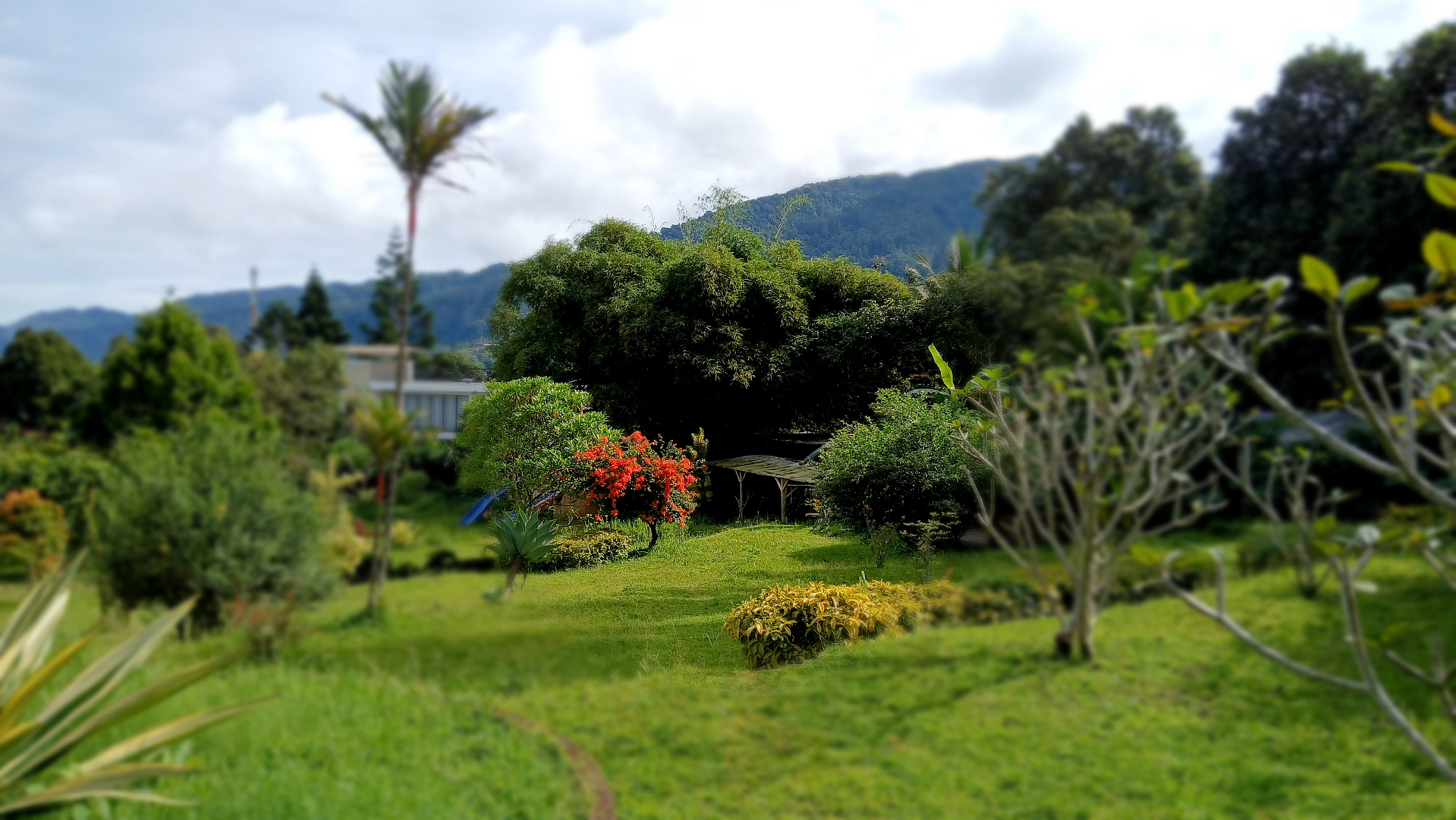 userImage-3