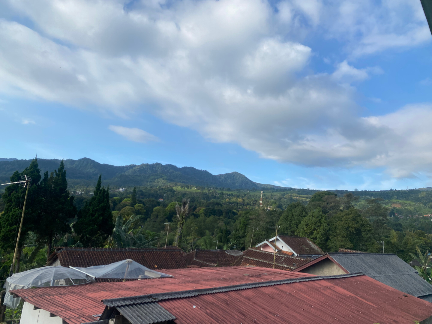 userImage-7