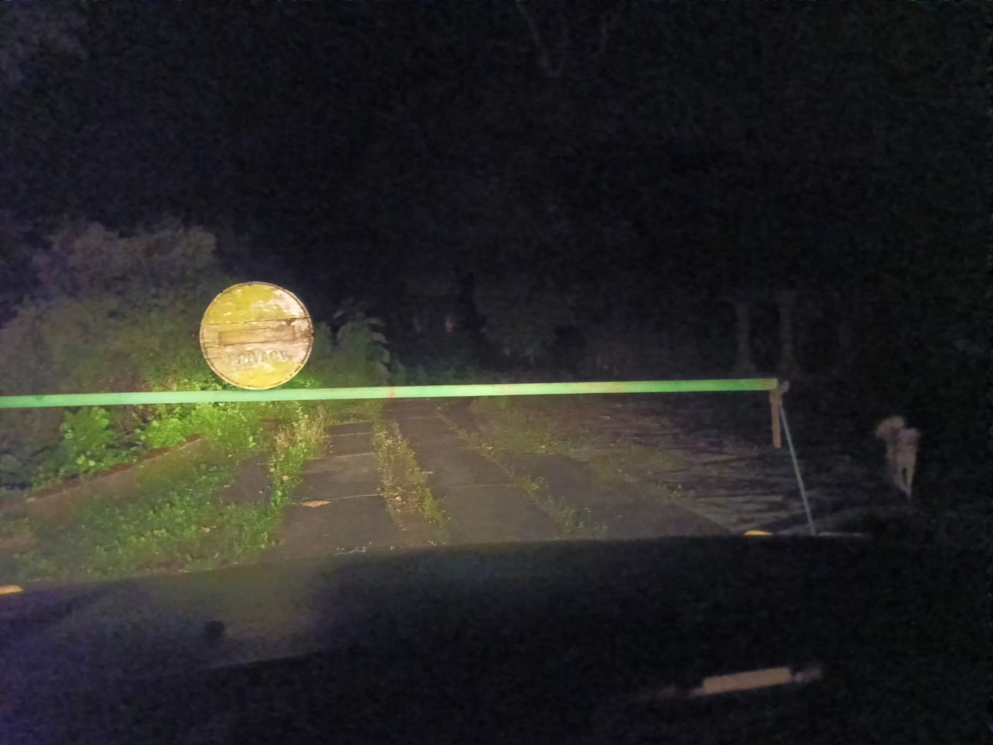 userImage-1