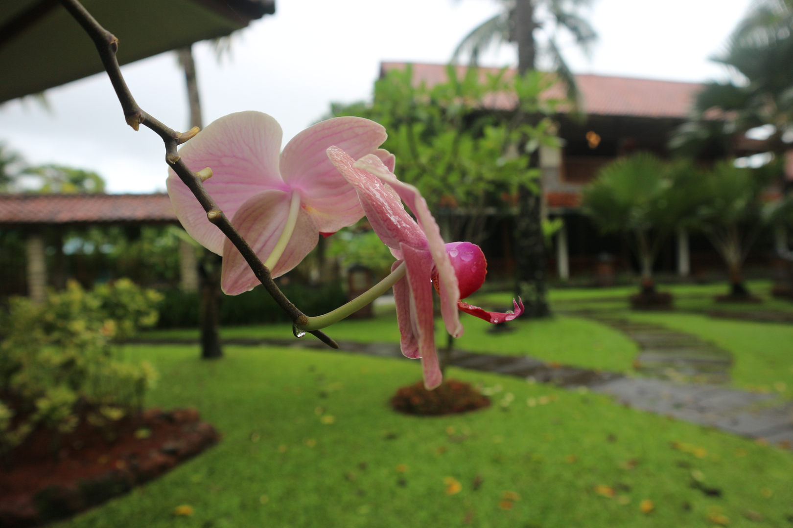 userImage-13