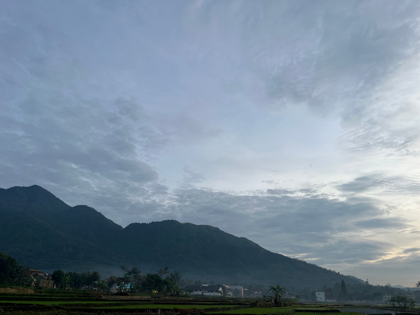 userImage-14