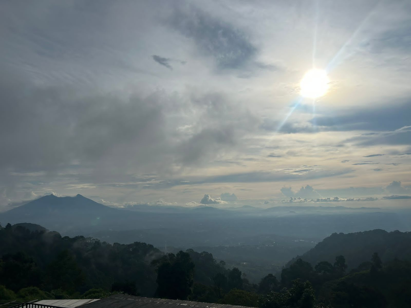 userImage-9