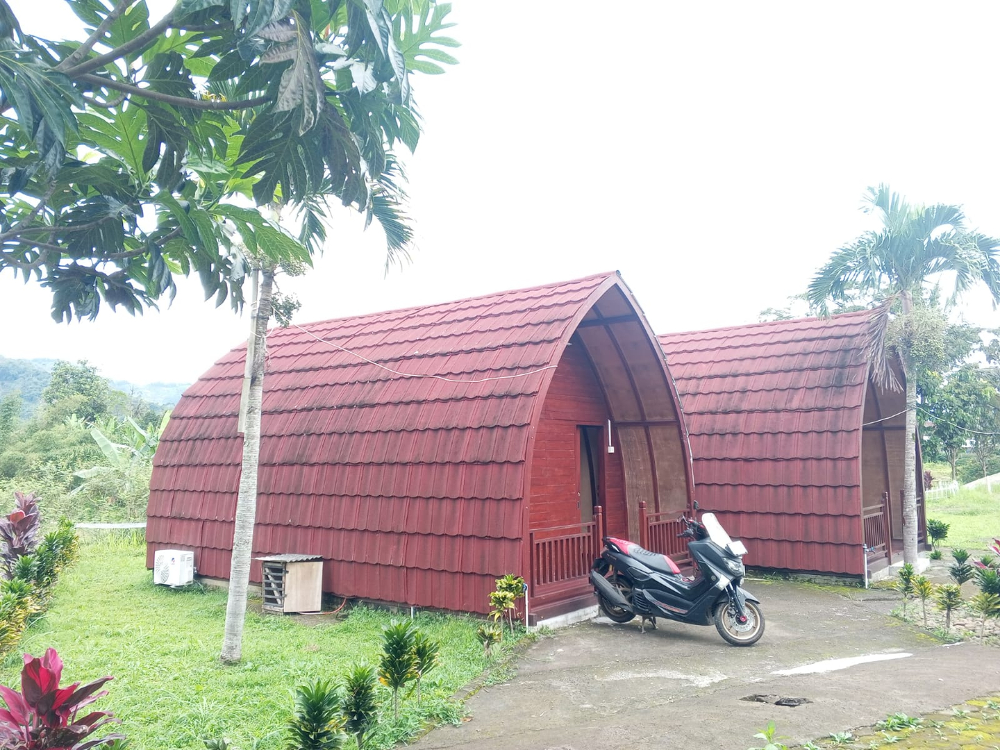 userImage-19