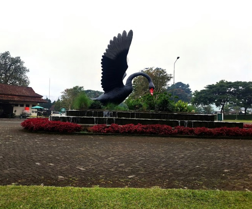 userImage-4