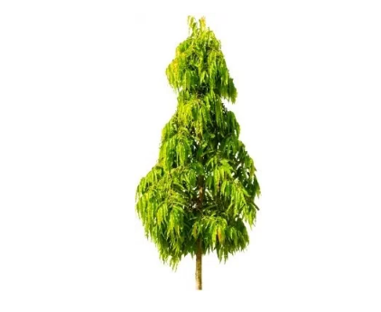 userImage-7