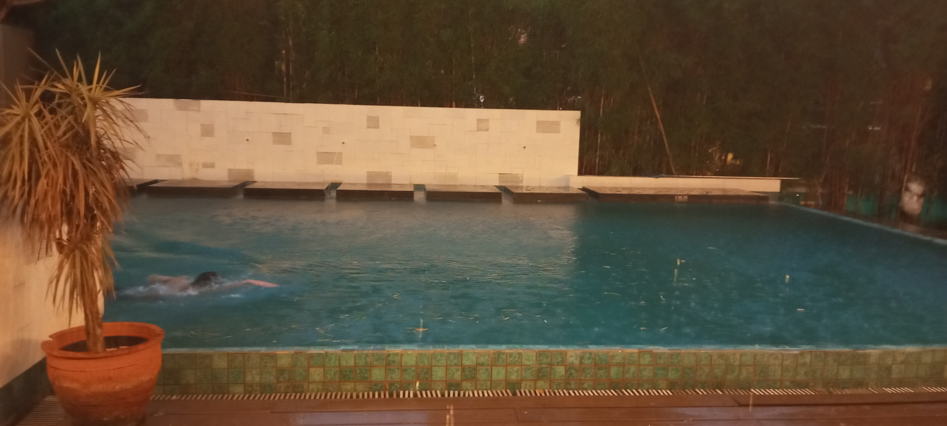 userImage-4