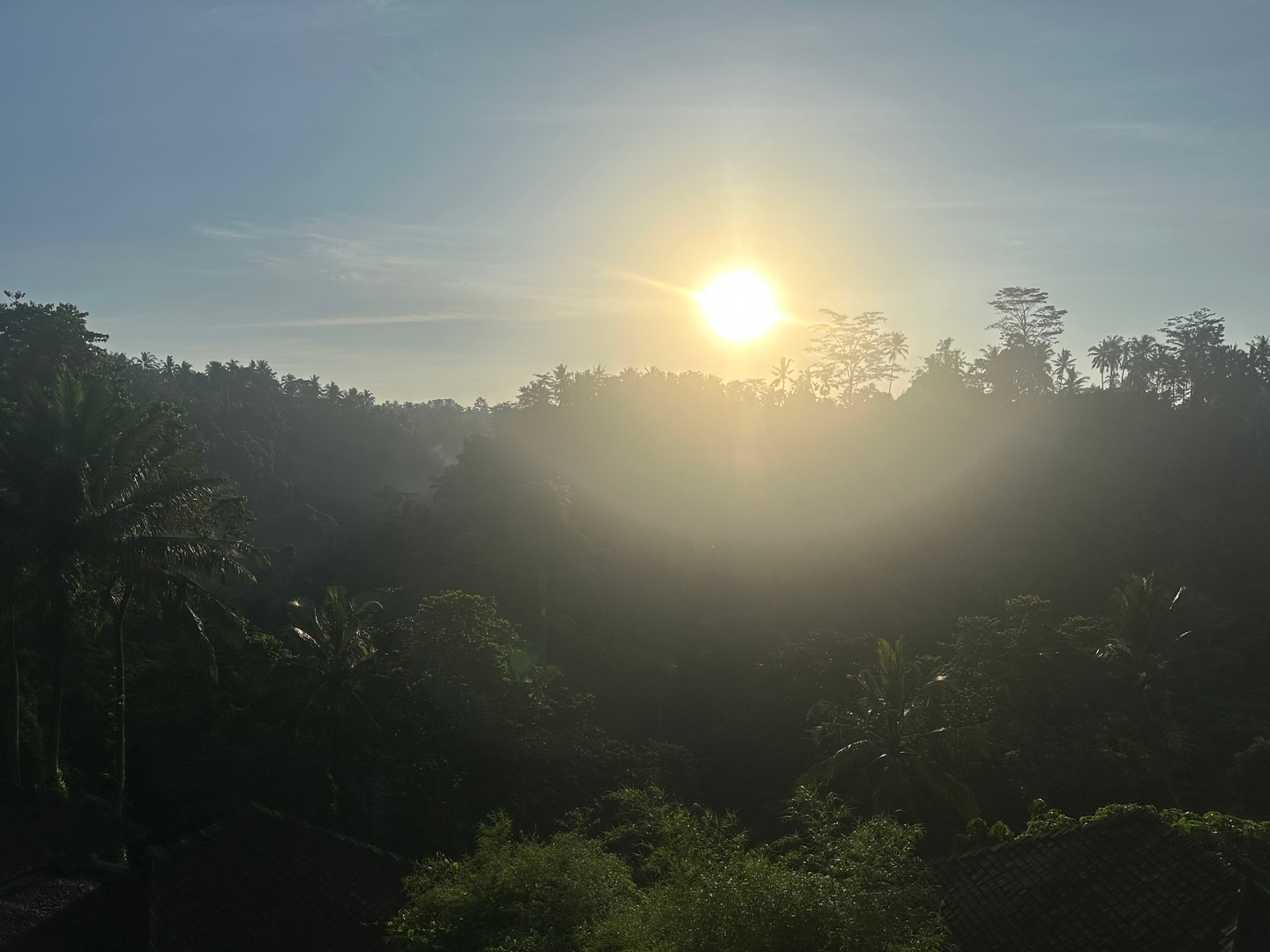 userImage-3