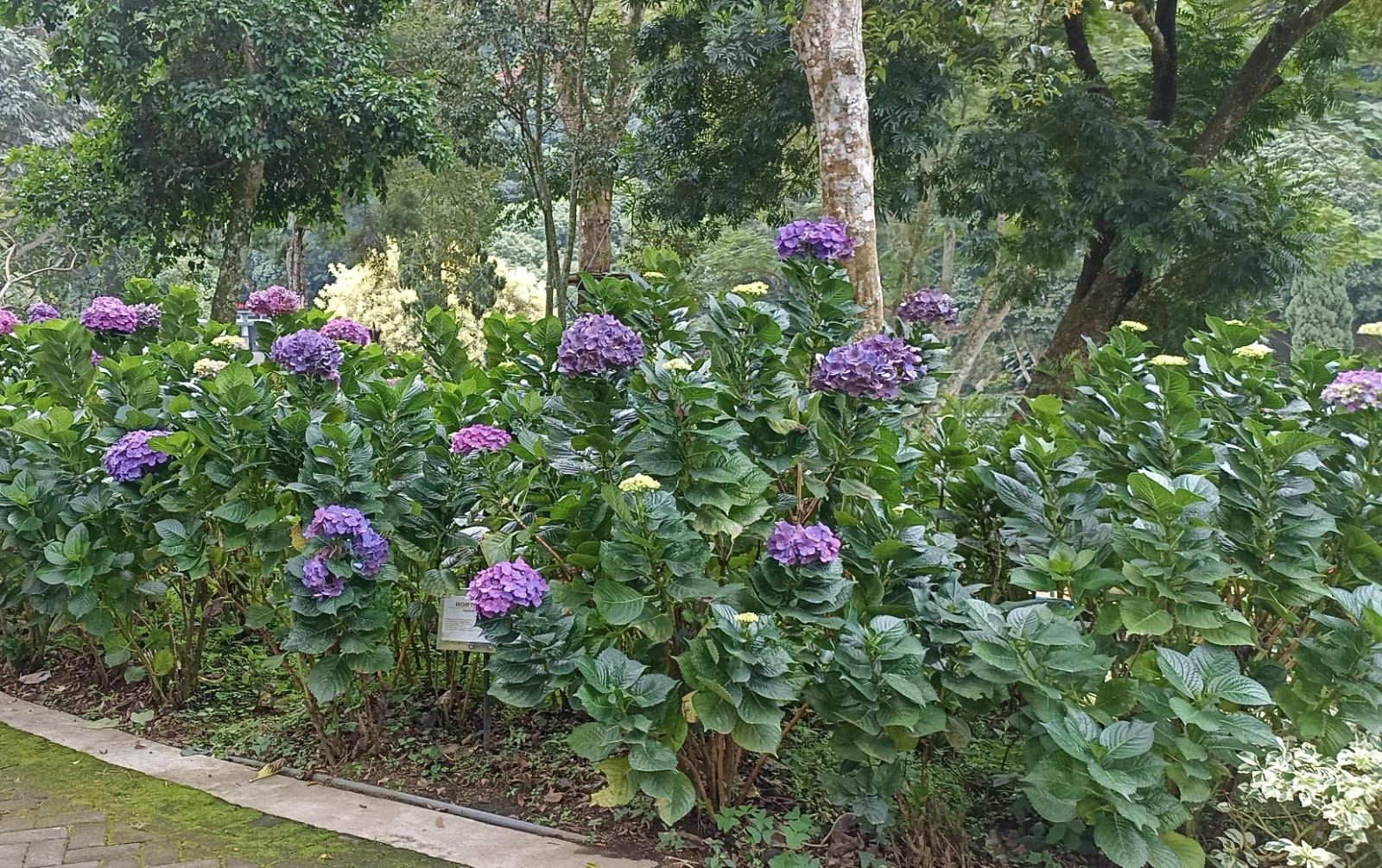 userImage-13