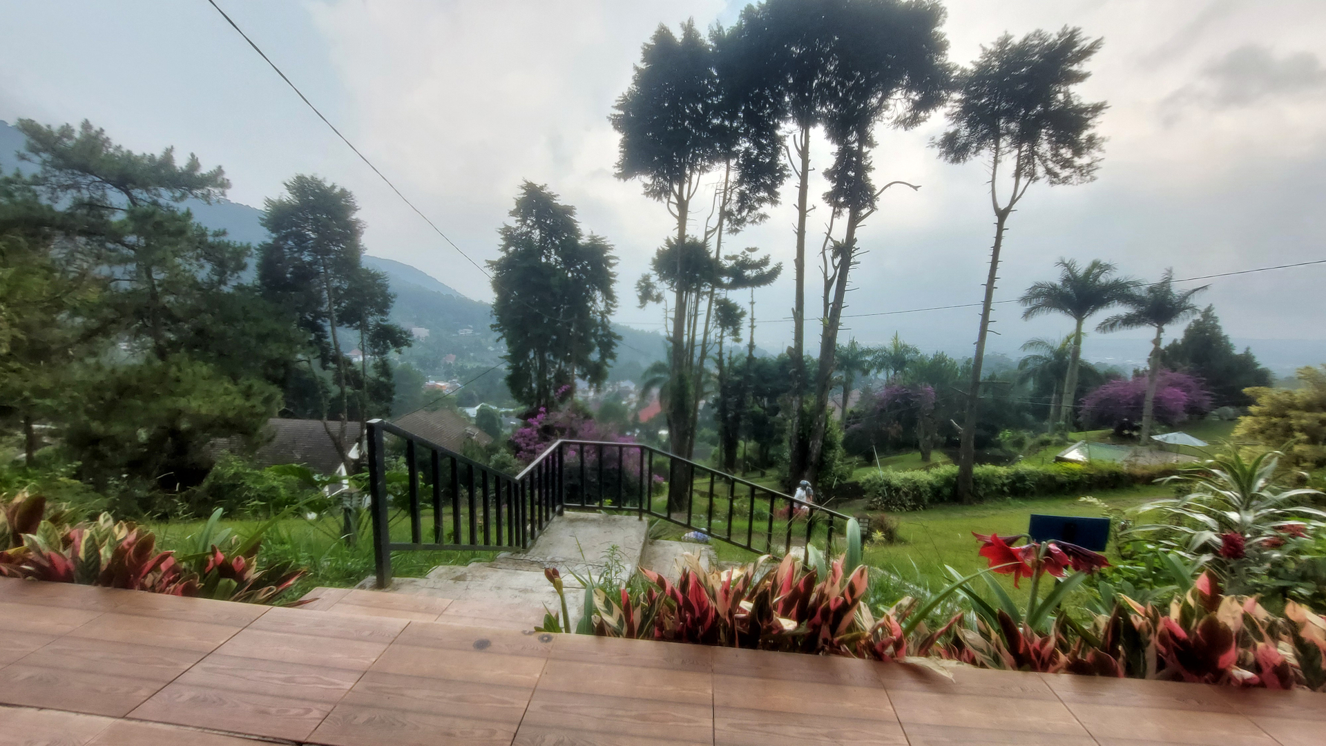 userImage-6