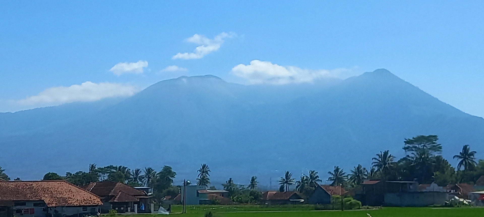 userImage-1