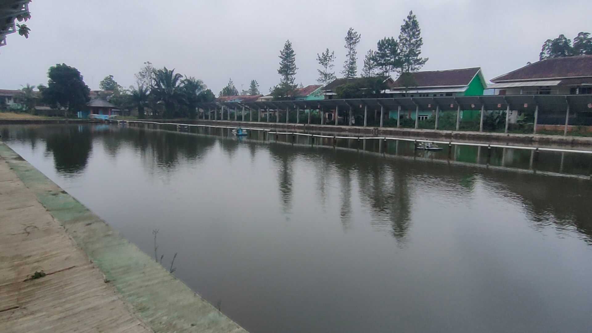 userImage-12