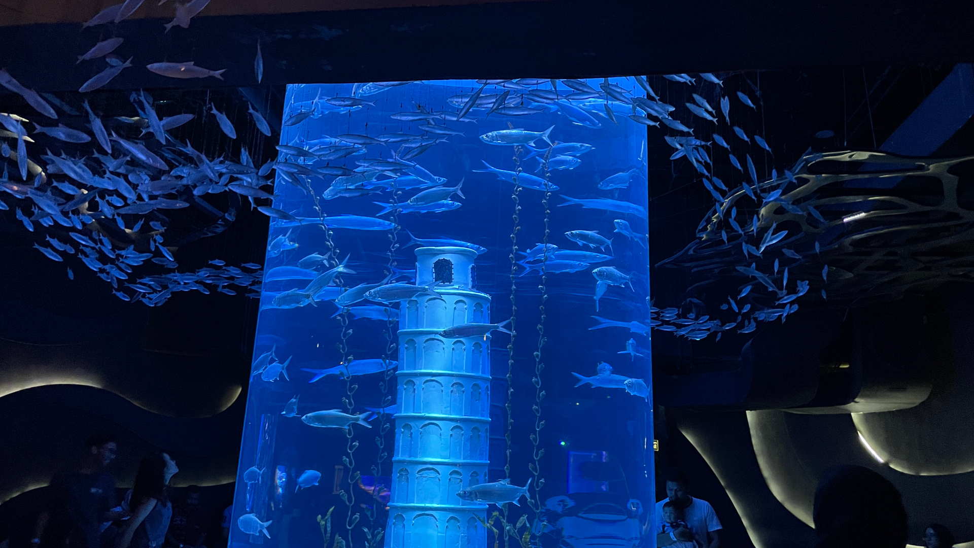 userImage-0