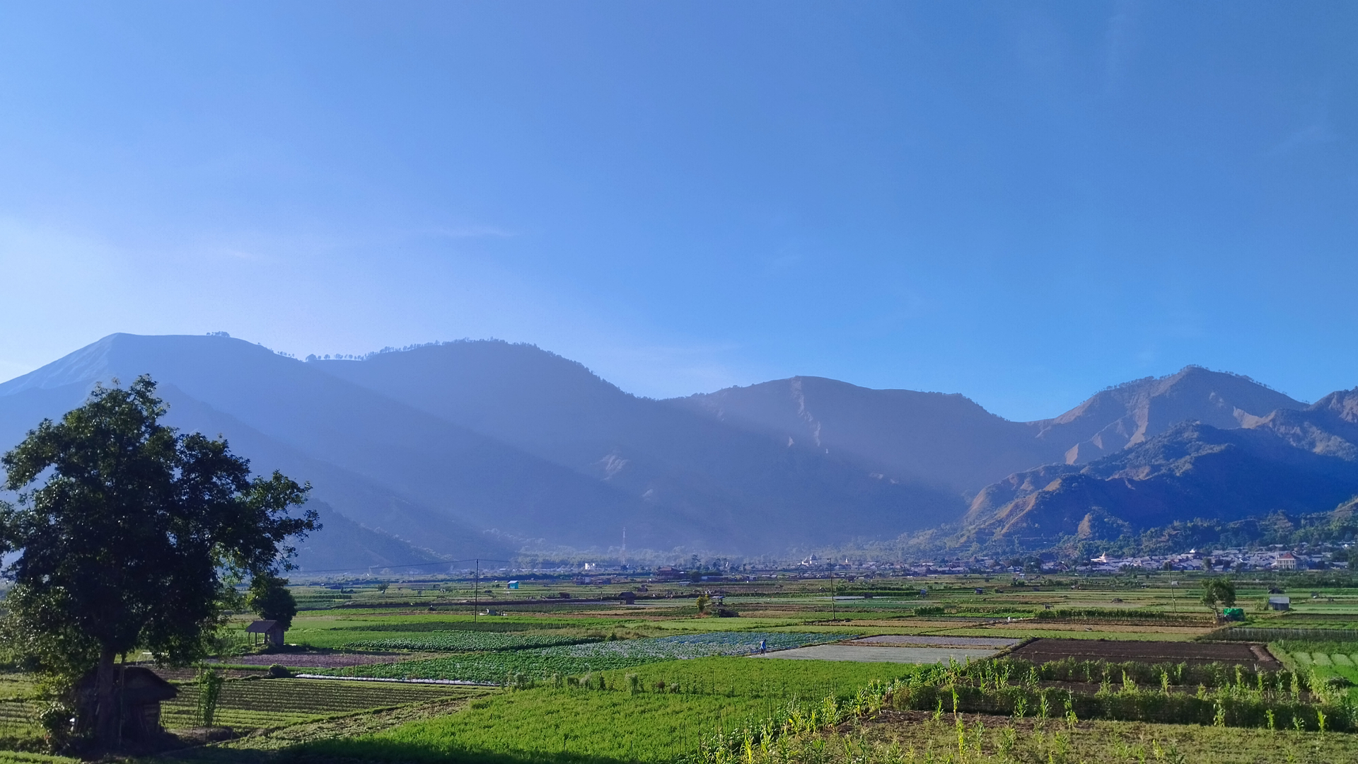 userImage-8