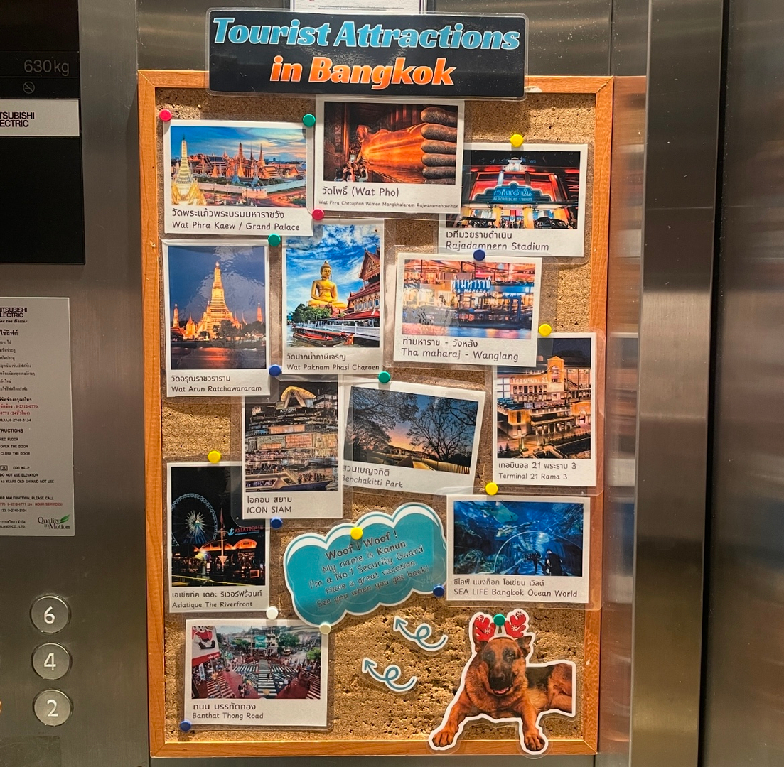userImage-3