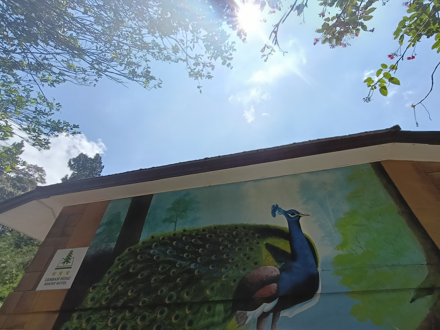 userImage-17