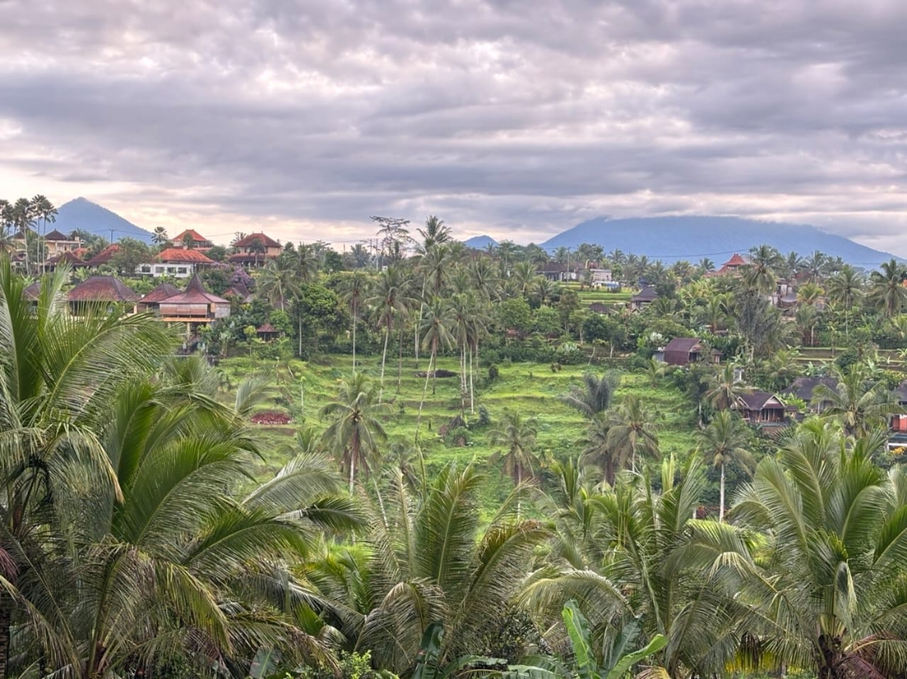 userImage-7