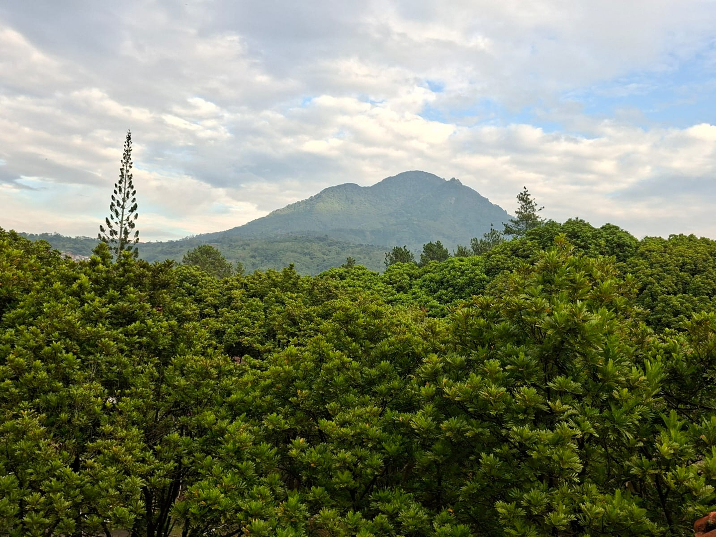 userImage-7
