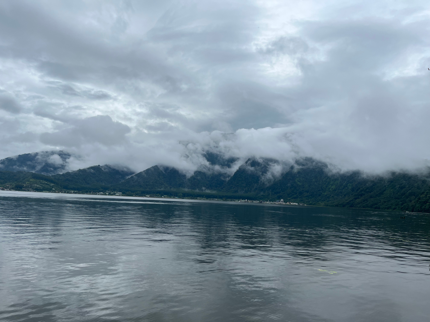 userImage-1