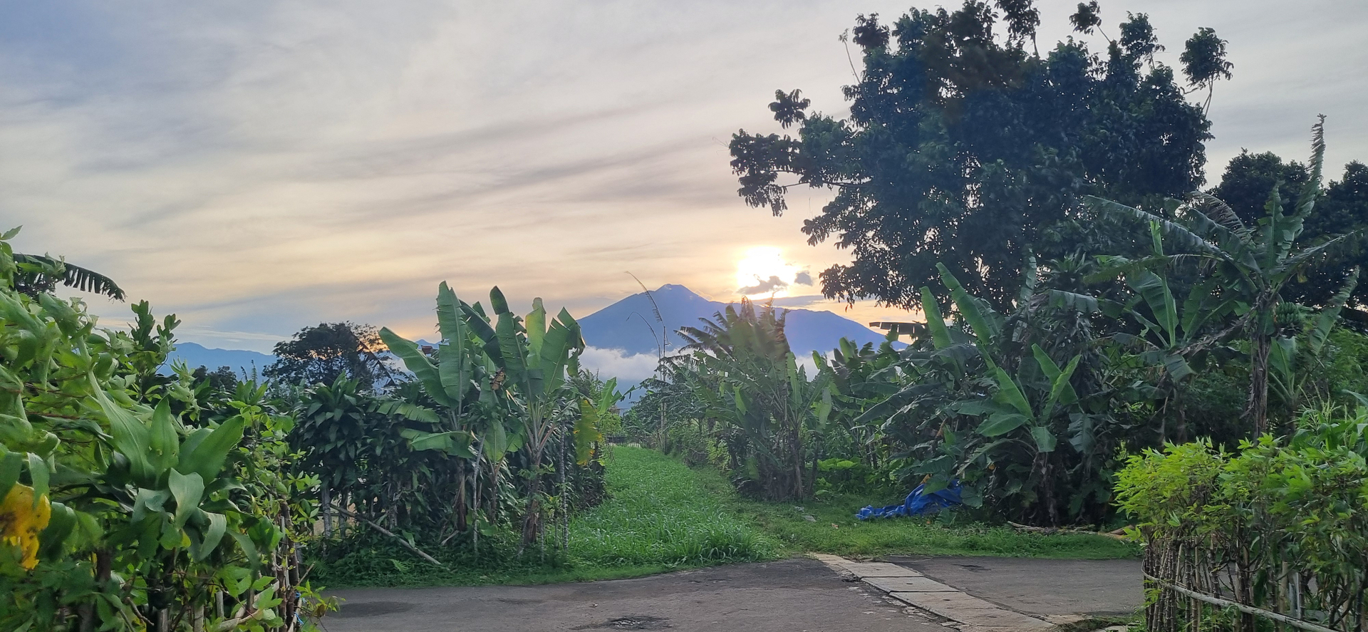 userImage-1
