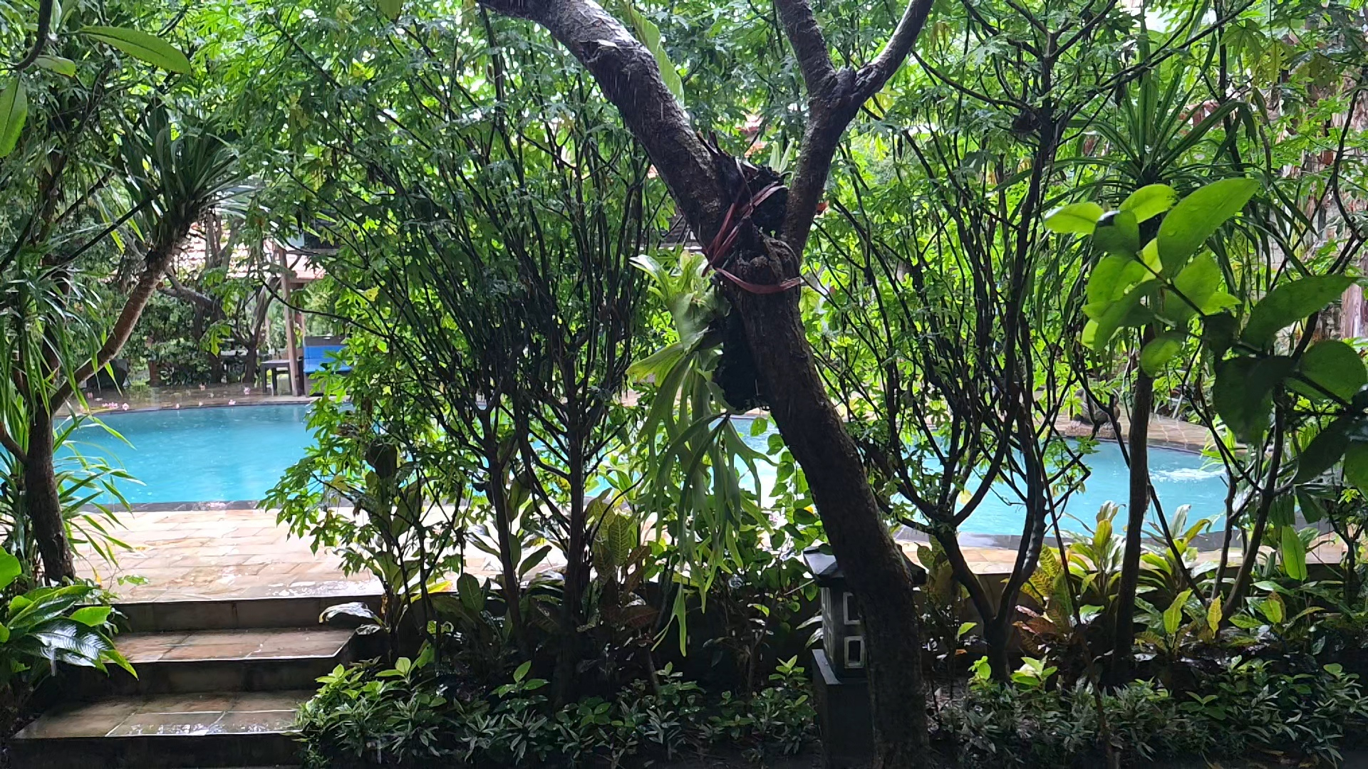 userImage-1