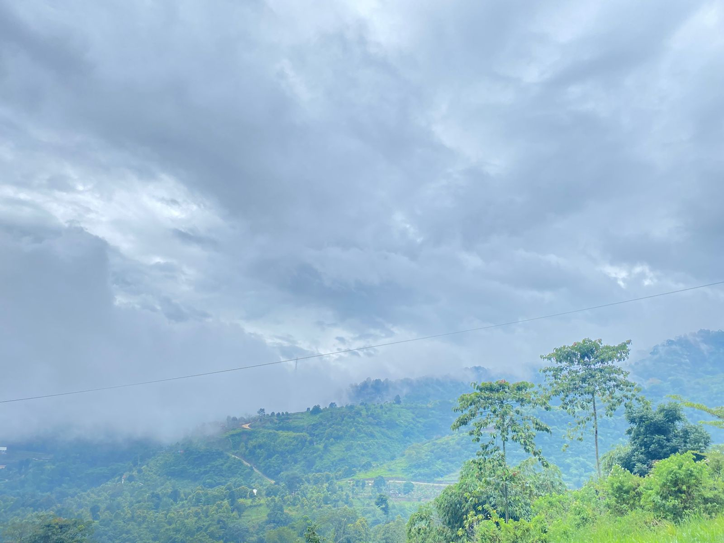 userImage-1