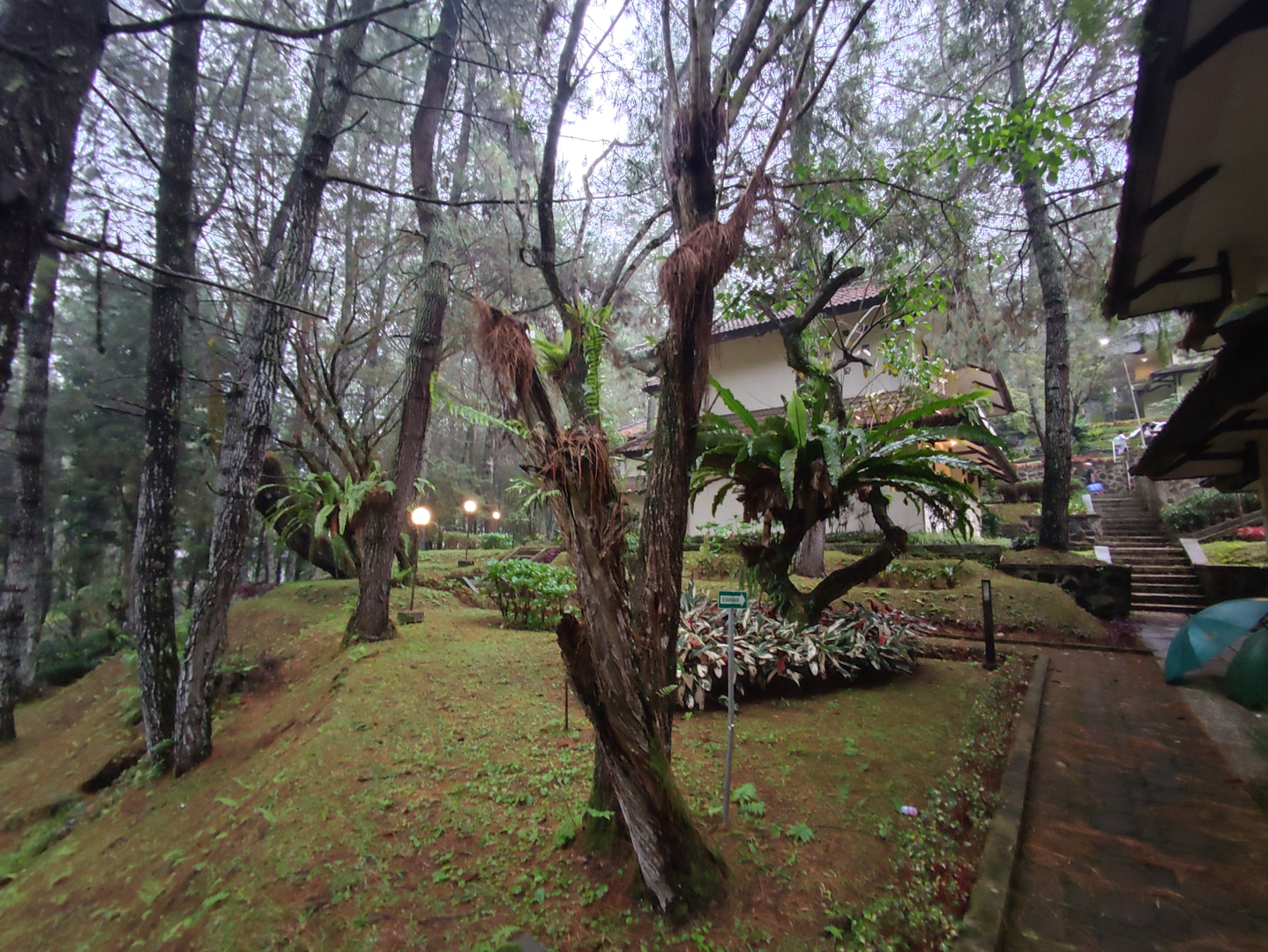 userImage-19