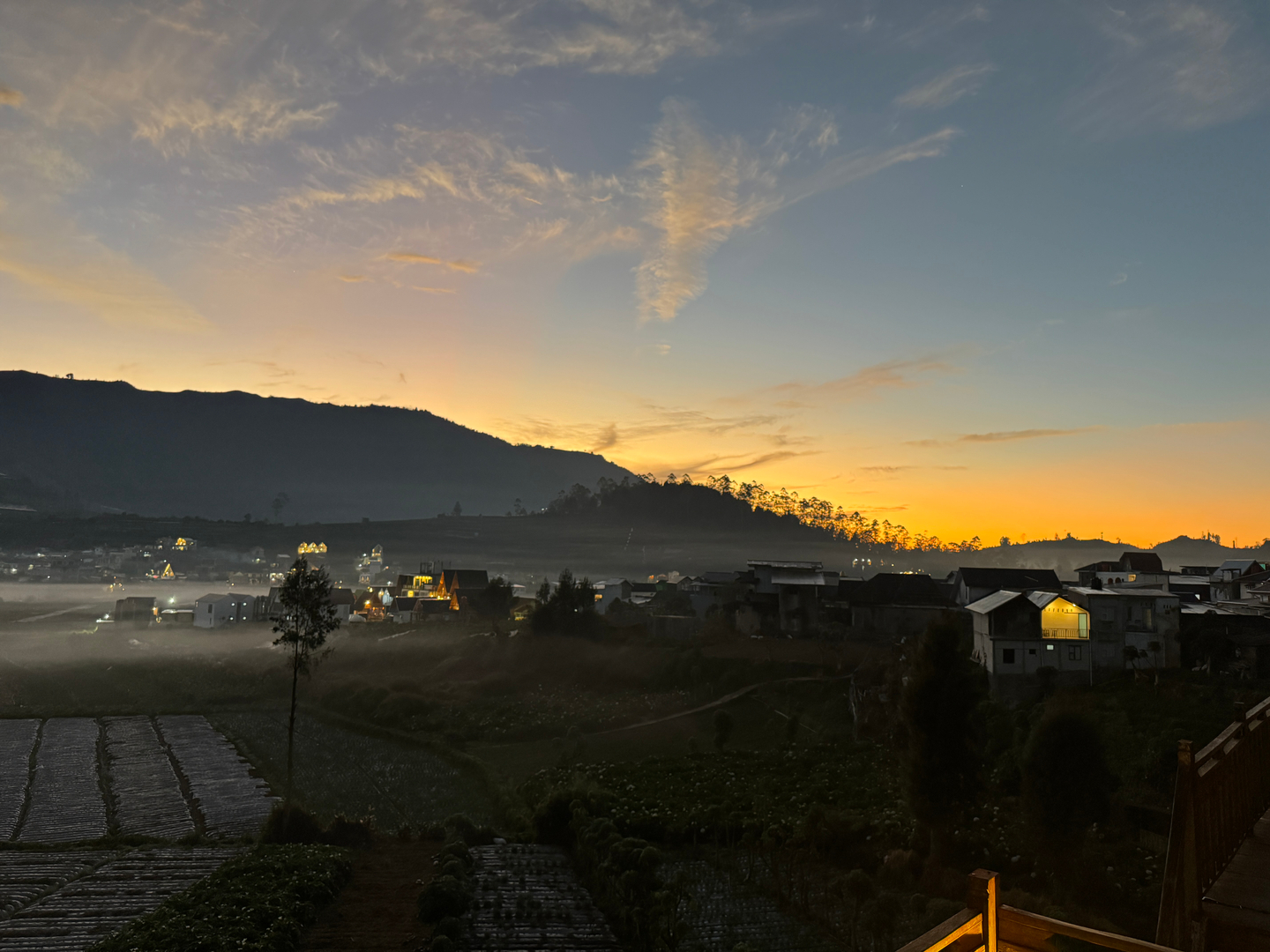 userImage-2